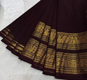 Coffee Brown Kanchi Cotton Saree with Golden Zari Retta Petta Border and Running Blouse